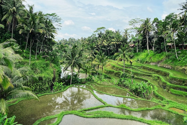 Ubud