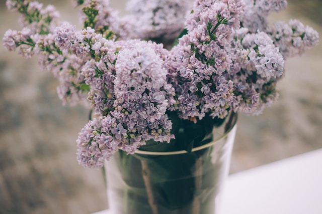 Floral Displays