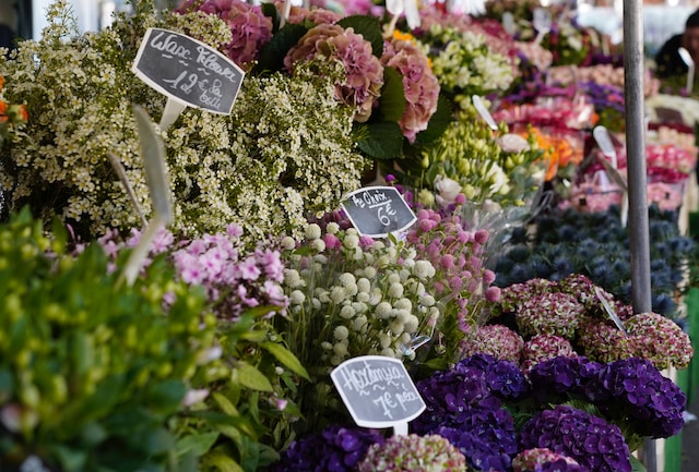 Paris Flower Markets Guide