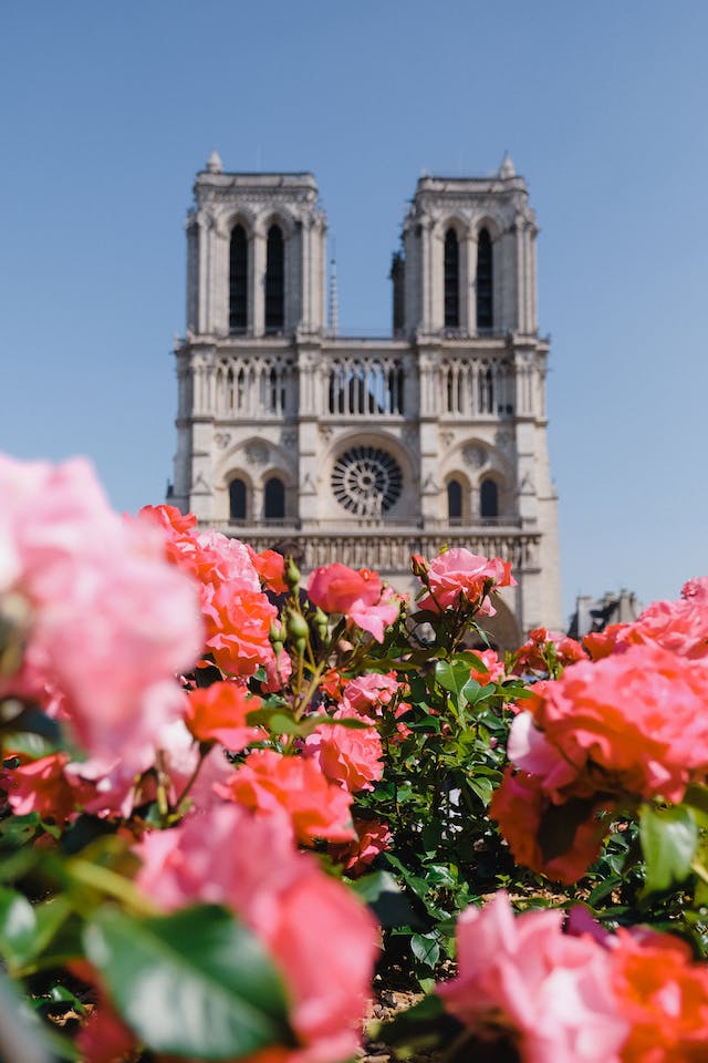 Paris Flower Bazaars