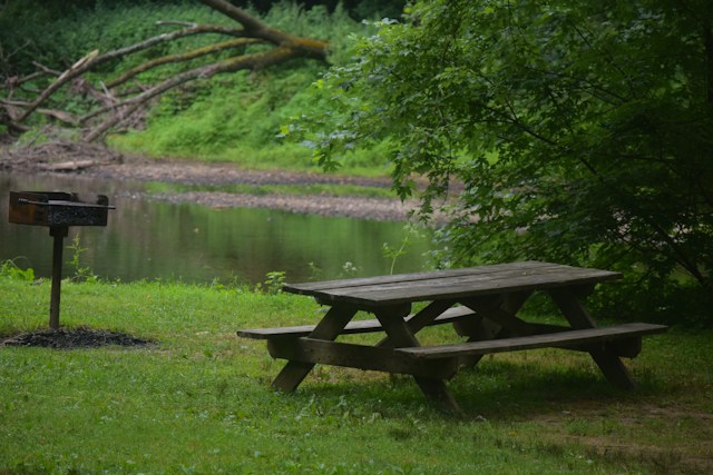 Picnic Spots and Parks for Families near Notre Dame